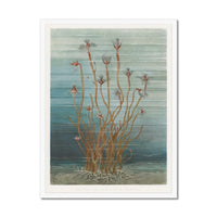 Vintage Marine Botanical - Framed Print Wall Art 45.00 Beach House Art