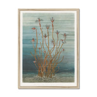 Vintage Marine Botanical - Framed Print Wall Art 45.00 Beach House Art
