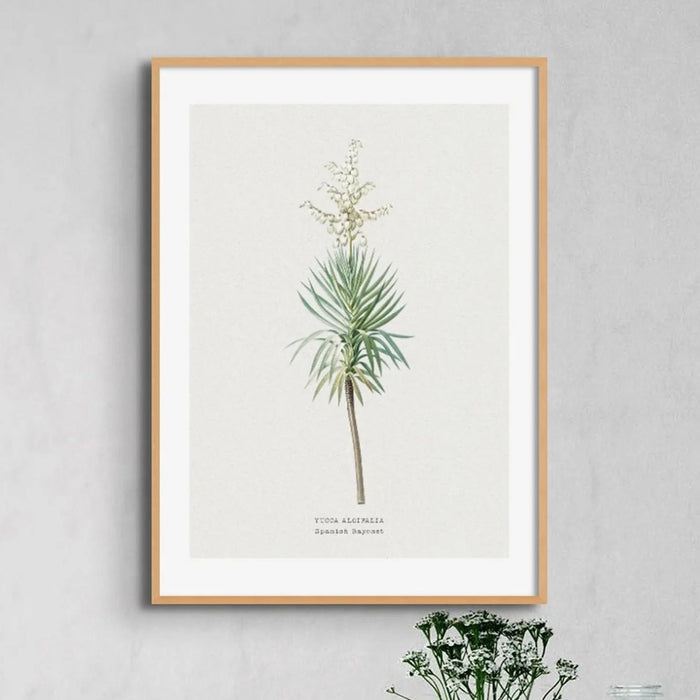 Yucca Floral Painting | Vintage Flower Print | Botanical Art - Framed Wall Art