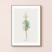 Yucca Floral Painting | Vintage Flower Print | Botanical Art - Framed Wall Art