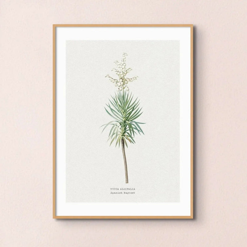 Yucca Floral Painting | Vintage Flower Print | Botanical Art - Framed Wall Art