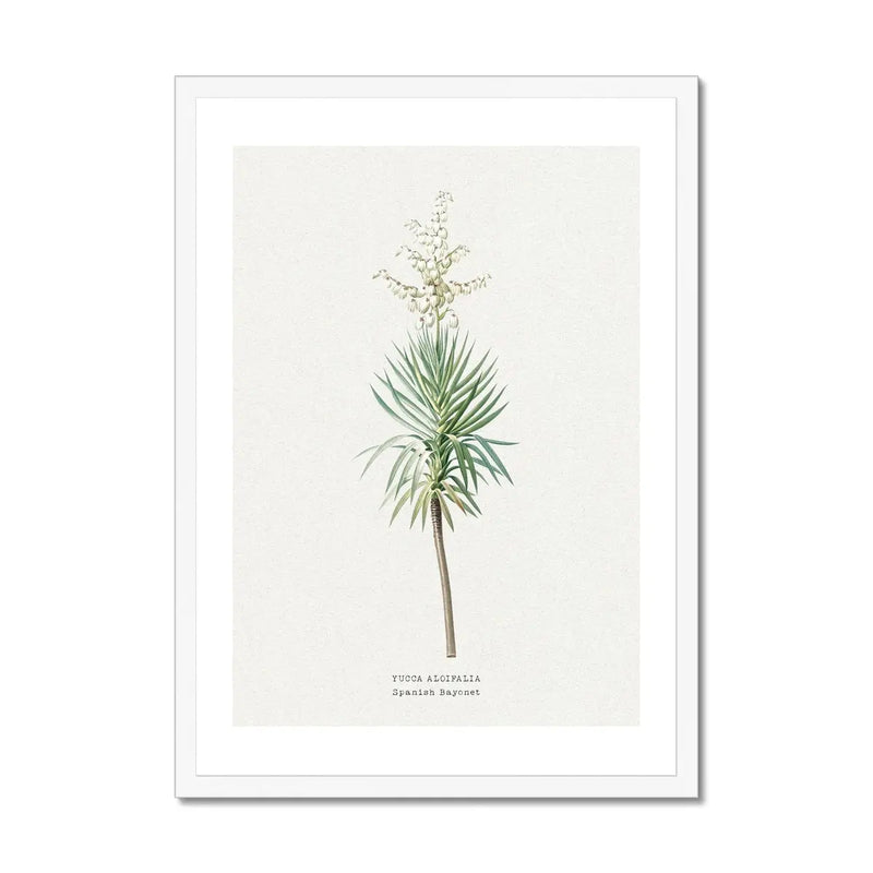 Yucca Floral Painting | Vintage Flower Print | Botanical Art - Framed Wall Art