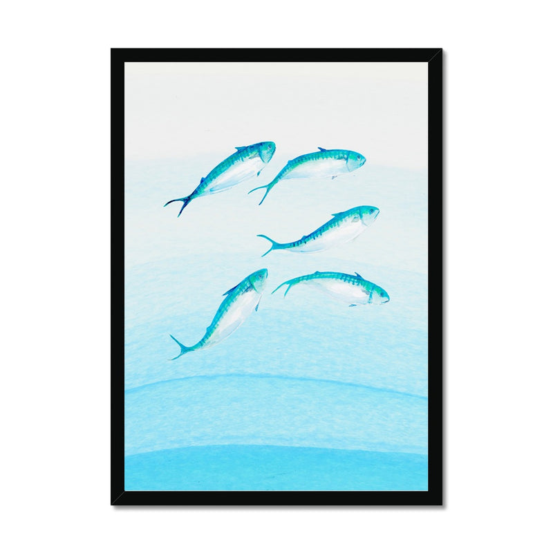 Mackerel Shoal 2 | Fish Wall Art Print - Framed