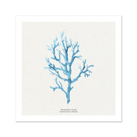 Coral Wall Art | Vermillion Coral Painting - Unframed - Beach House Art
