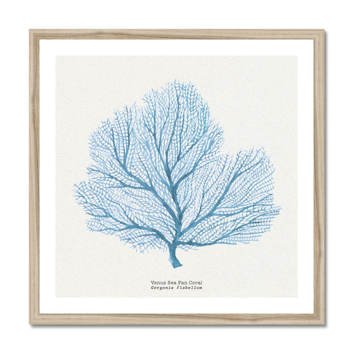 Coral Art Print | Fan Coral Painting - Framed Print - Beach House Art