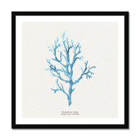 Coral Art Wall Art | Vermillion Coral Painting - Framed - Beach House Art